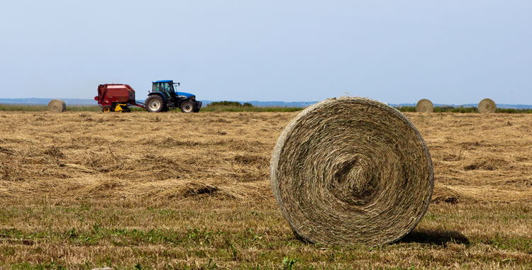 Farm and Agricultural Equipment and Supply Storage Sidney, Saanich, and Victoria.